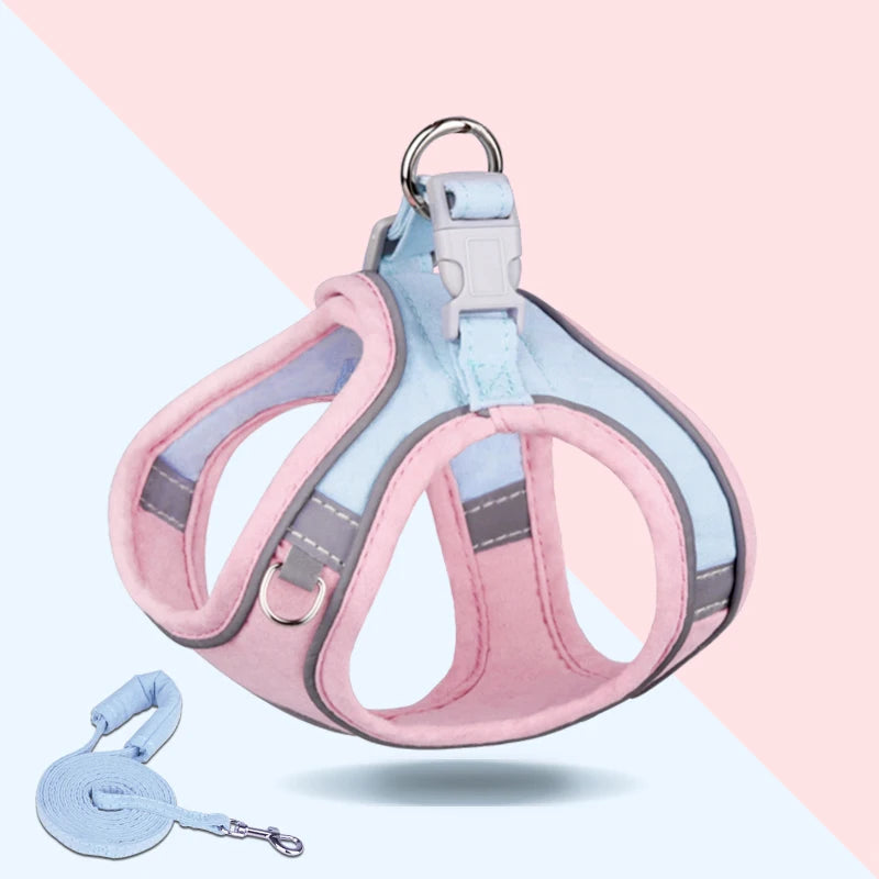 Cat Harness and Leash Set