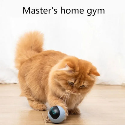 Smart Cat Toy 