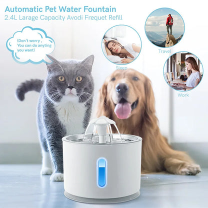 Automatic Cat Drinking Fountain