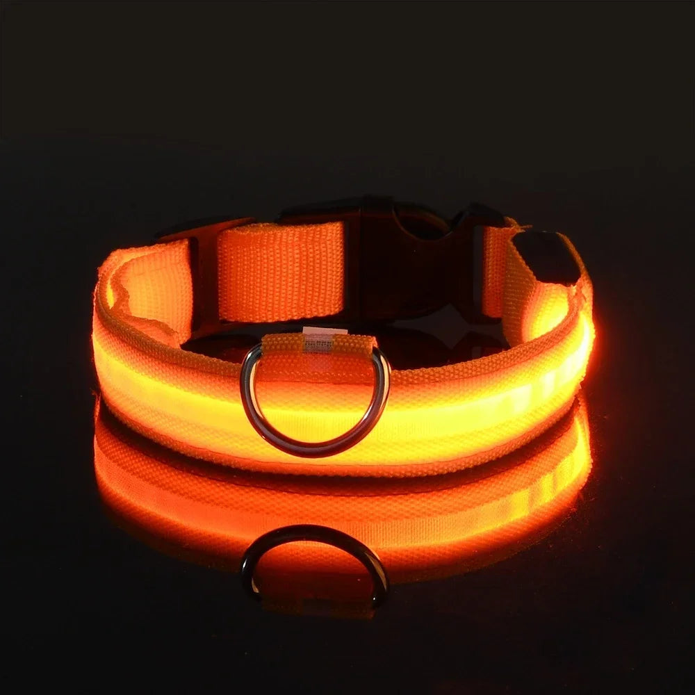 LED Light-Up Dog Collar – Night Safety, Glow-in-the-Dark, Adjustable Nylon