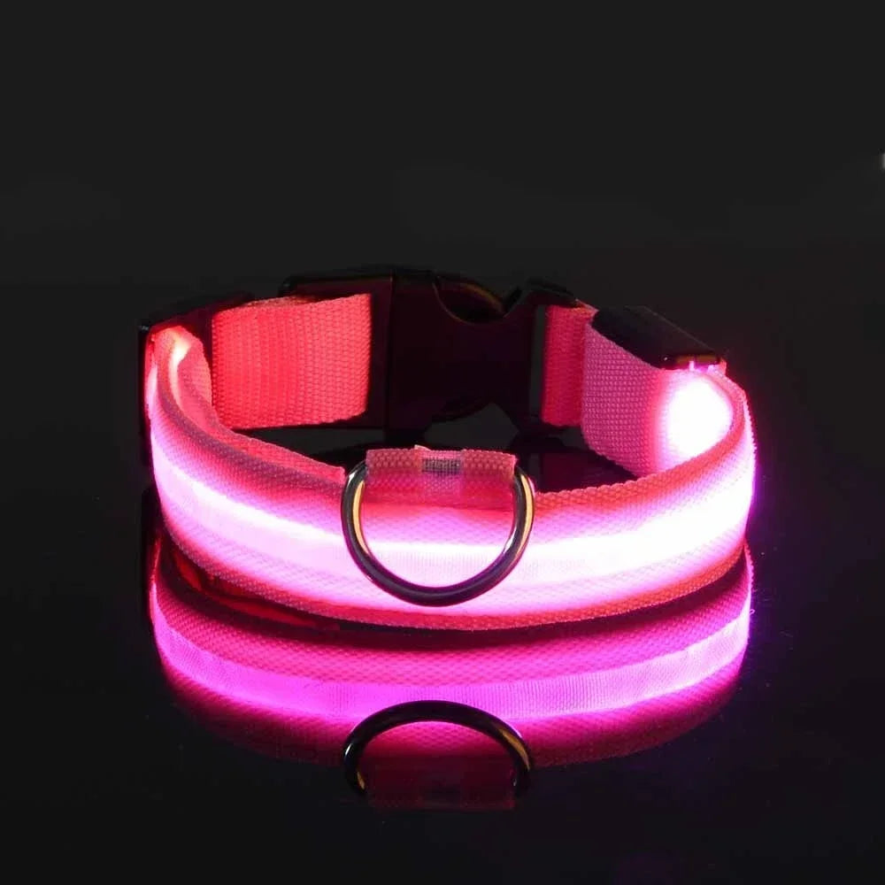 LED Light-Up Dog Collar – Night Safety, Glow-in-the-Dark, Adjustable Nylon