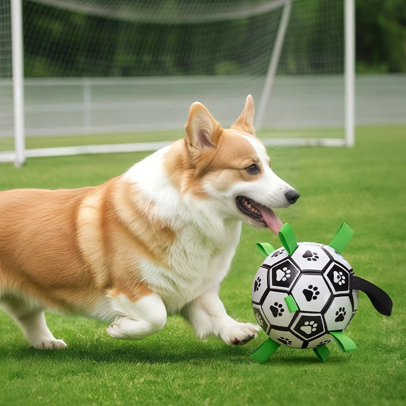 Dog Soccer Ball