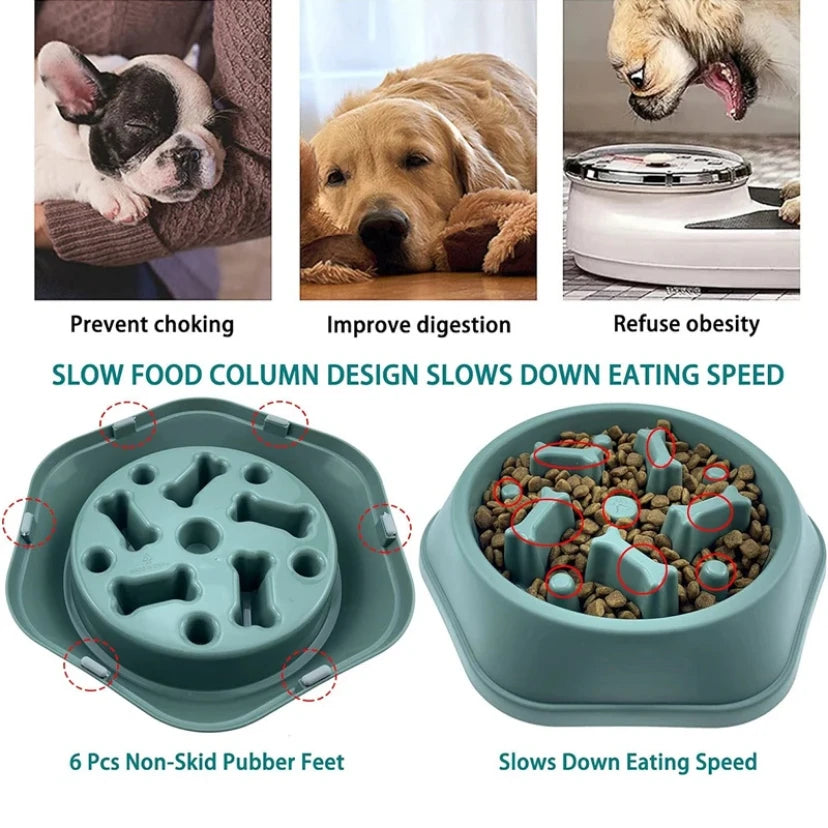 Pet Slow Feeder Bowl