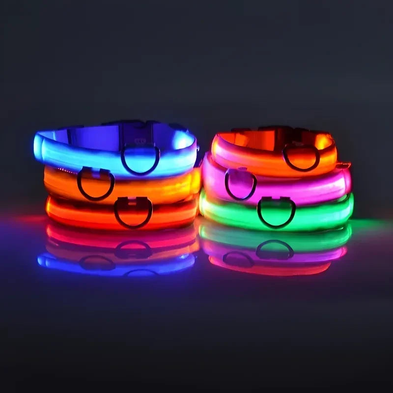 LED Light-Up Dog Collar – Night Safety, Glow-in-the-Dark, Adjustable Nylon