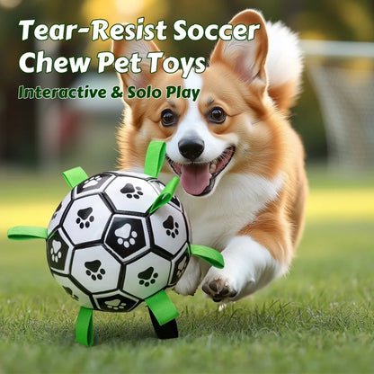 Dog Soccer Ball