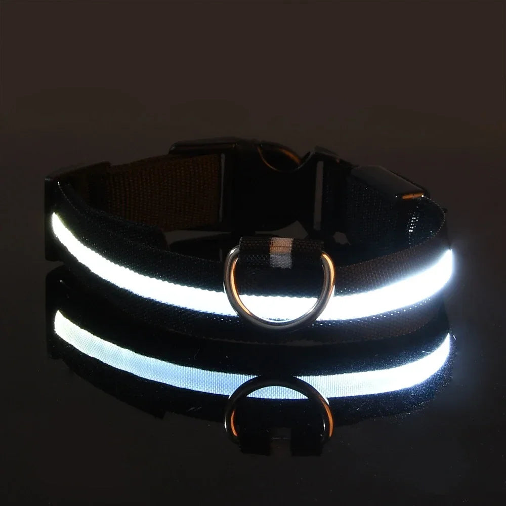 LED Light-Up Dog Collar – Night Safety, Glow-in-the-Dark, Adjustable Nylon