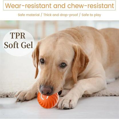 Pet Dog Rubber Ball Toys