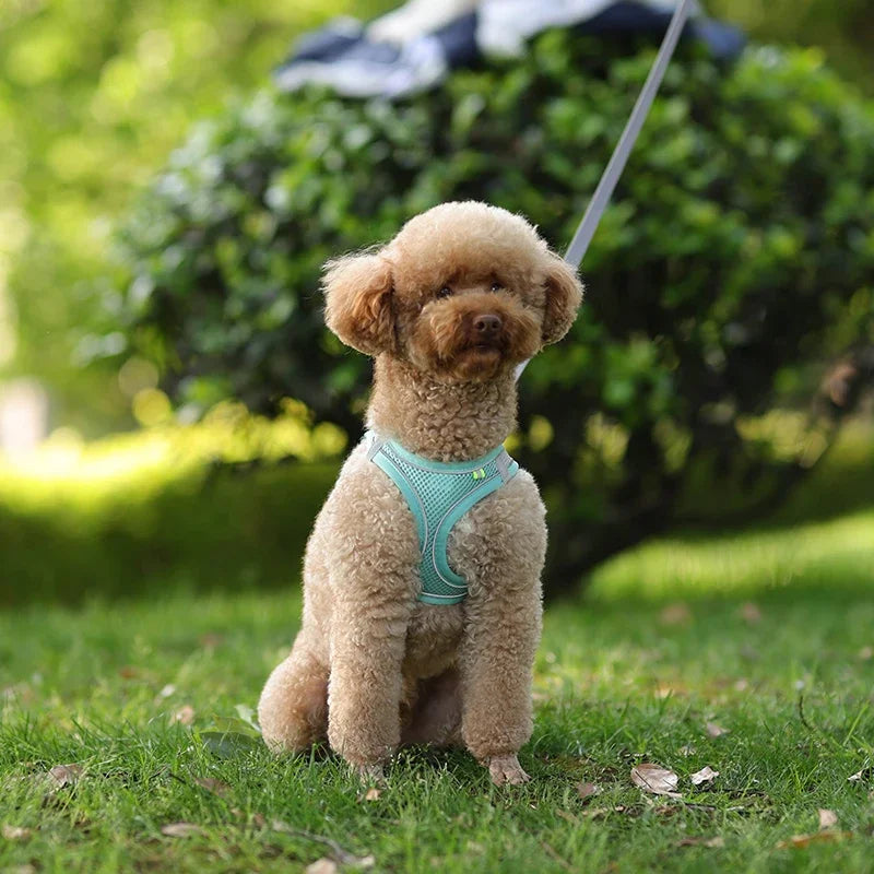 Adjustable Puppy Harness & Leash Set – Soft Vest Harness for Small Dogs & Cats