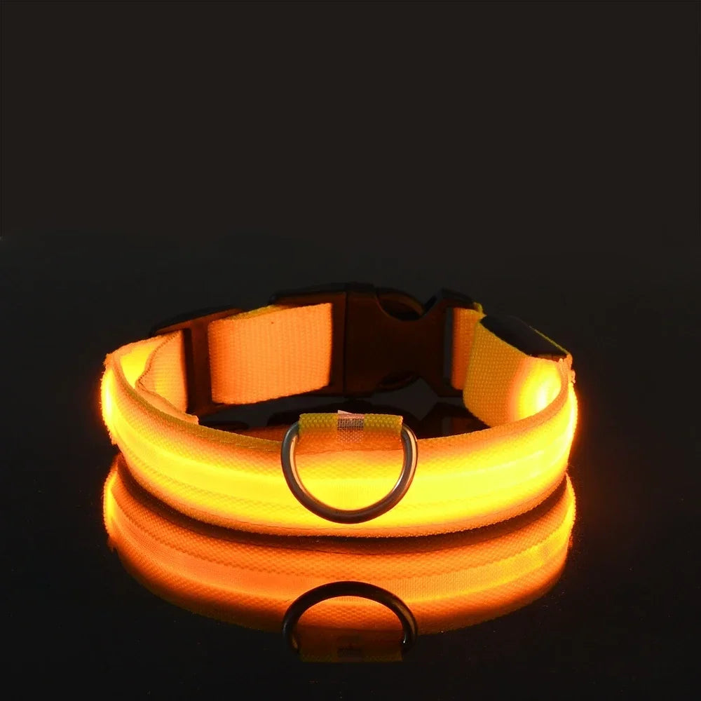 LED Light-Up Dog Collar – Night Safety, Glow-in-the-Dark, Adjustable Nylon