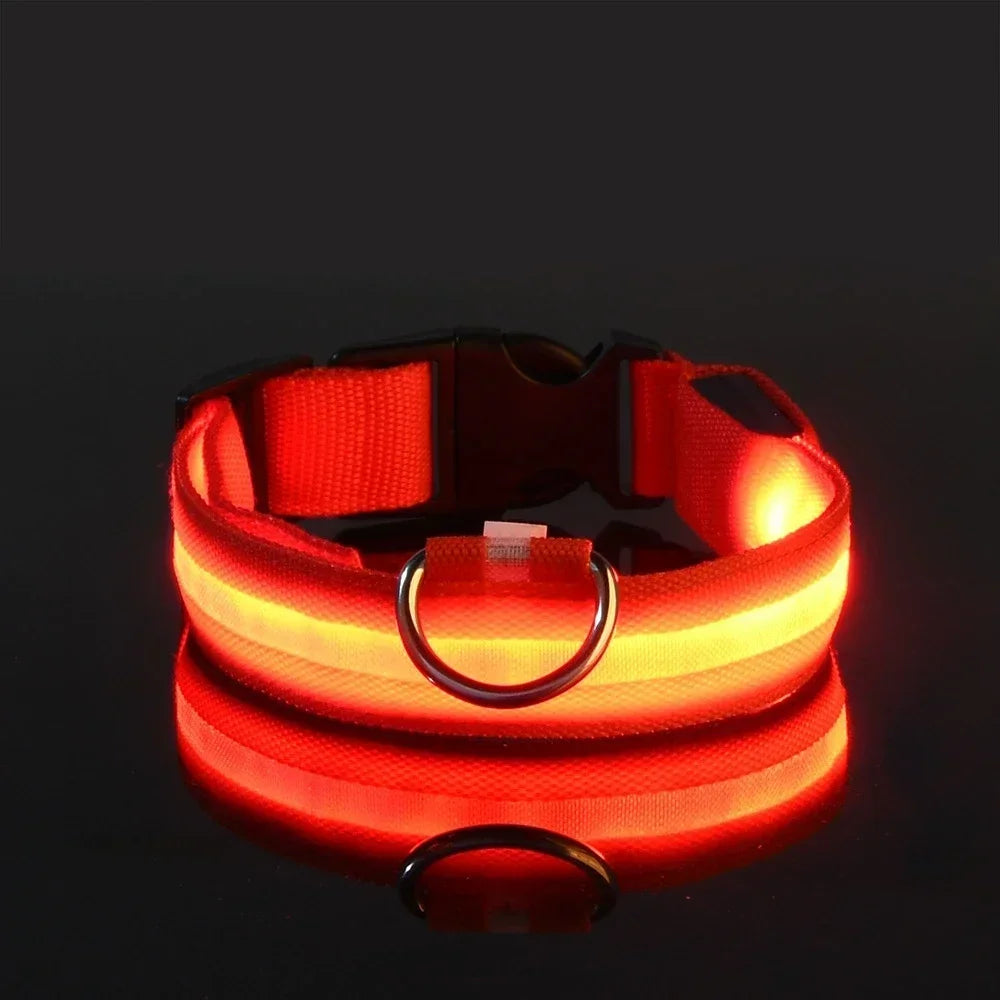 LED Light-Up Dog Collar – Night Safety, Glow-in-the-Dark, Adjustable Nylon