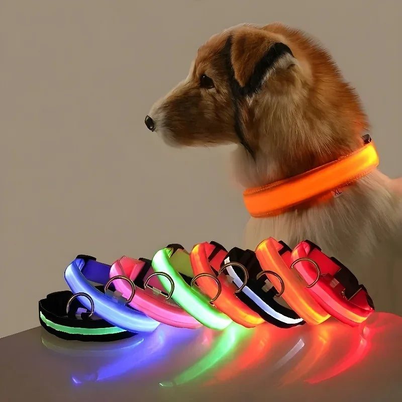 LED Light-Up Dog Collar – Night Safety, Glow-in-the-Dark, Adjustable Nylon