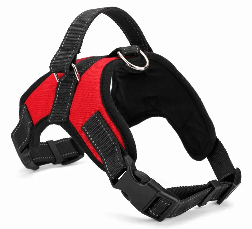 Adjustable Dog Harness