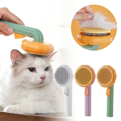 Pumpkin Pet Brush