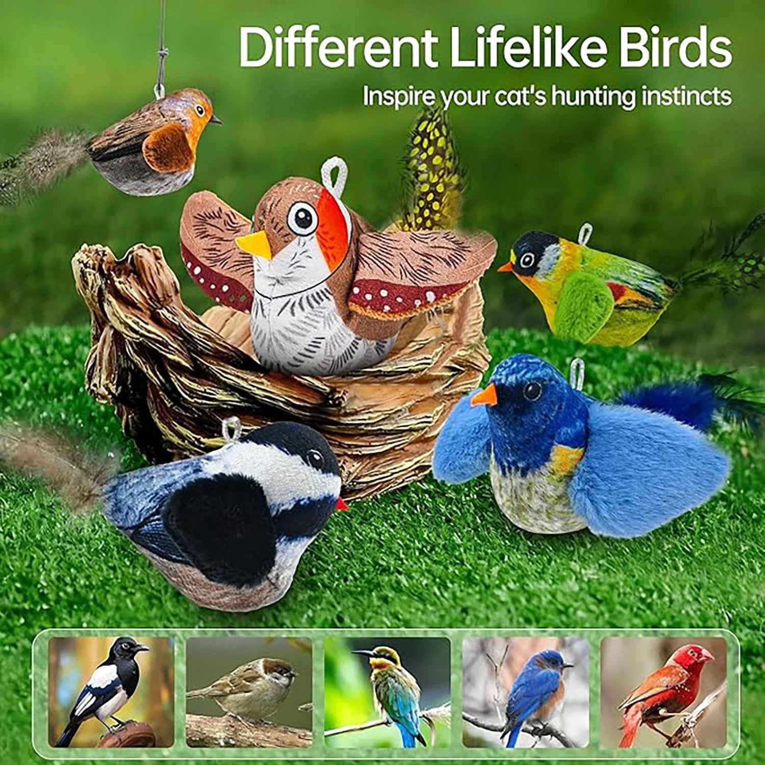 Interactive Hanging Bird Cat Toy with Sound – Catnip Teaser for Indoor Cats