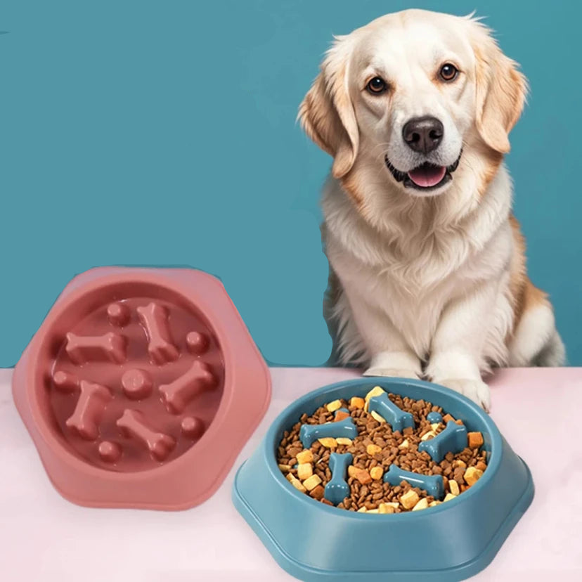 Pet Slow Feeder Bowl