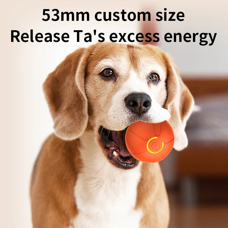 Interactive Smart Rolling Dog Ball Toy – Automatic Moving & Bouncing, USB Rechargeable