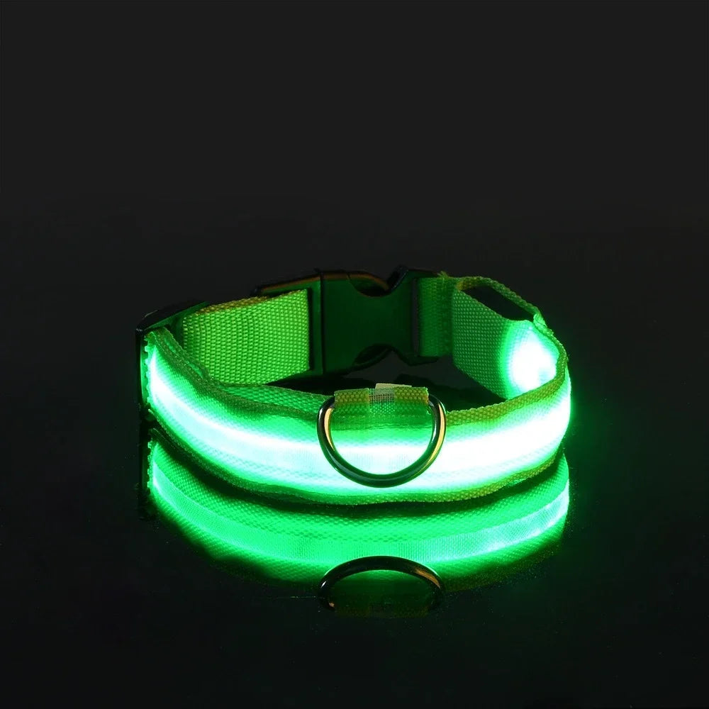 LED Light-Up Dog Collar – Night Safety, Glow-in-the-Dark, Adjustable Nylon